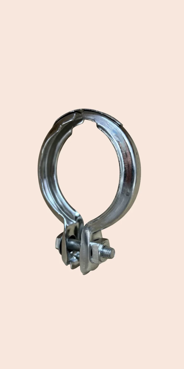 Special stainless steel clamp 1